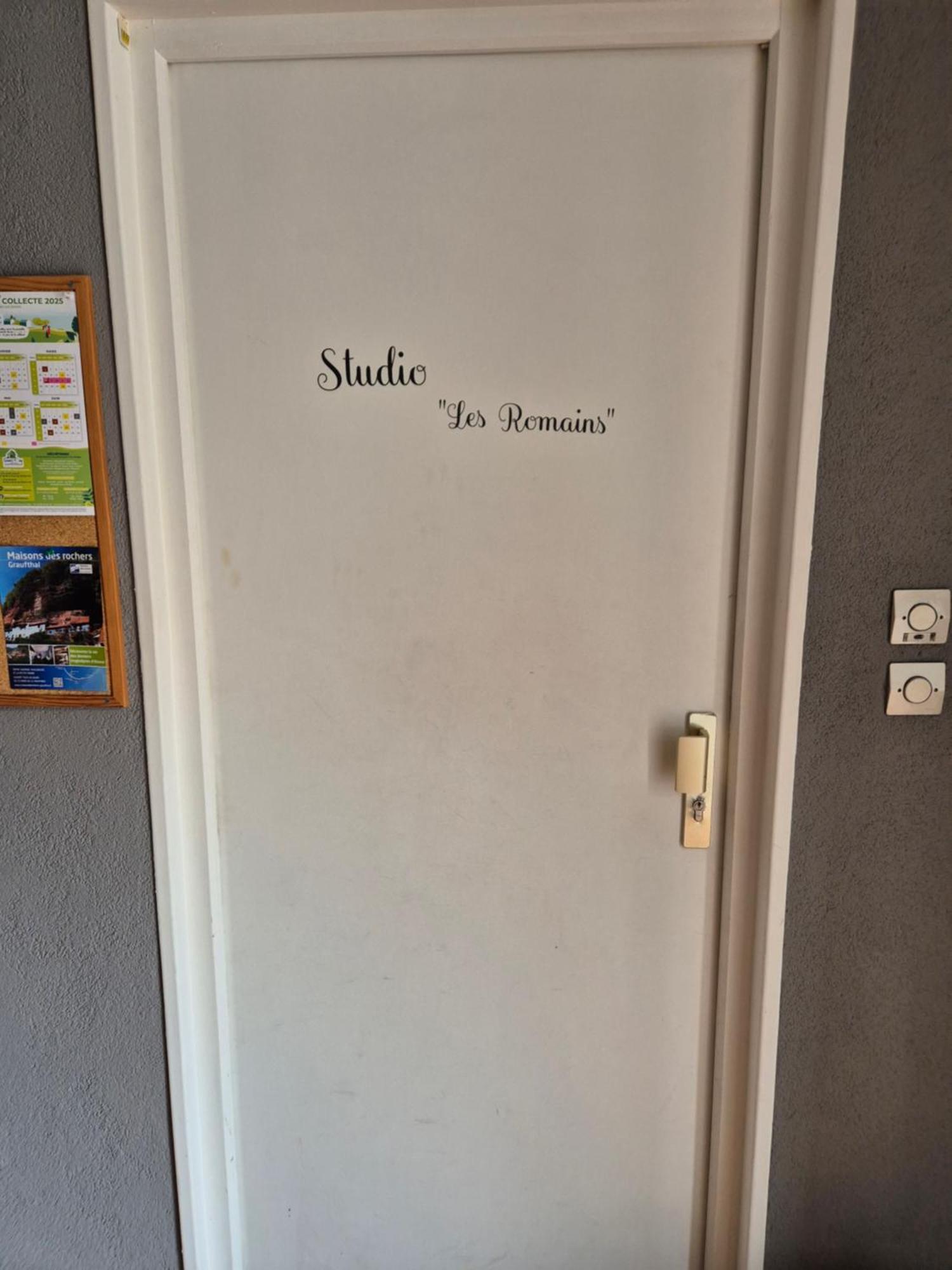 1 Rue Des Romains Studio Meuble Clauss Niederbronn-les-Bains Exterior photo